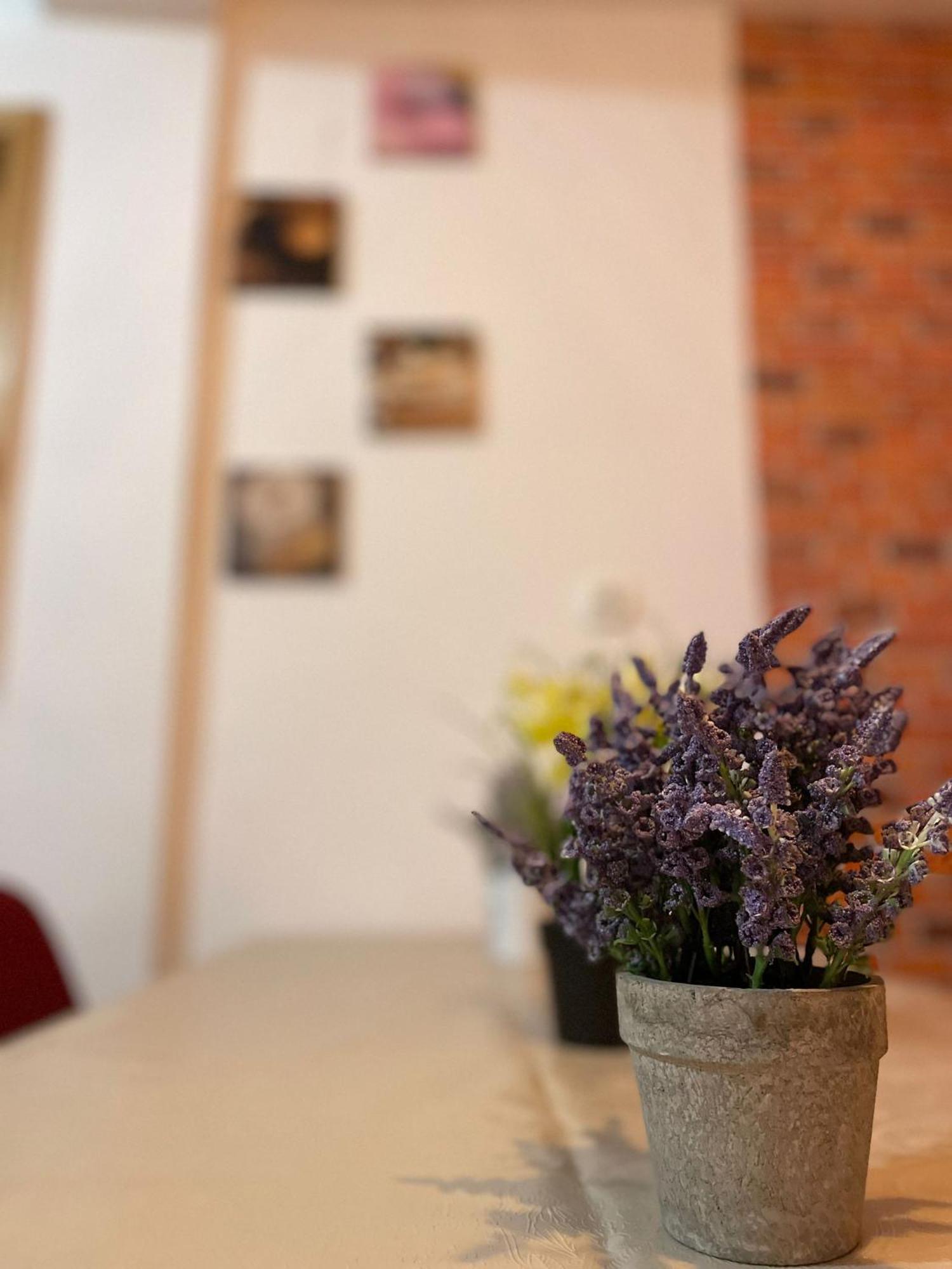 Mossapartments Bukareszt Zewnętrze zdjęcie